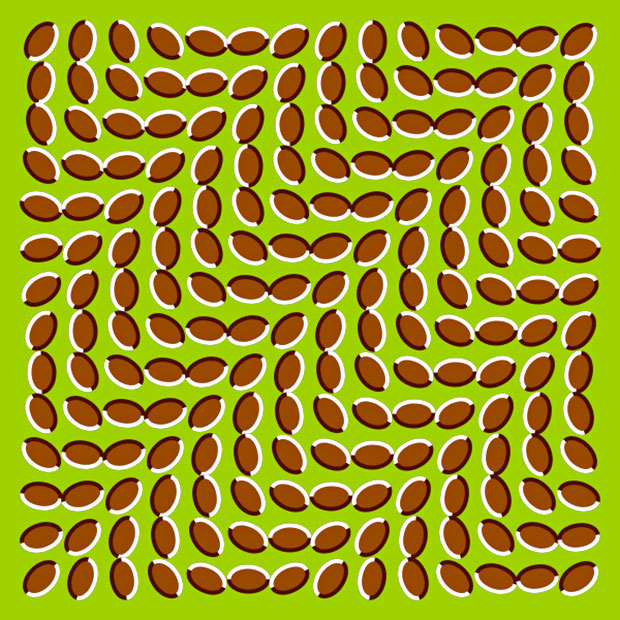 optical illusions that move fast